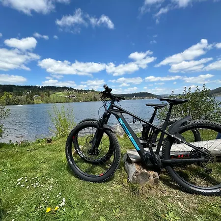 Отель Sonnenberg Garni 4*