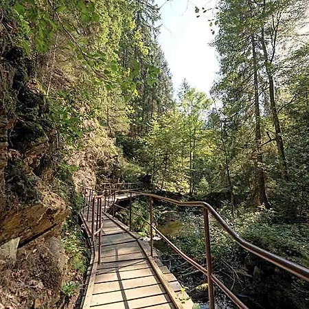 Sonnenberg Garni Hotell Hinterzarten